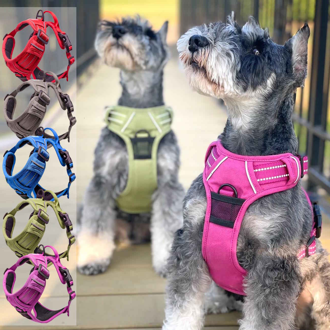 Venture Paw Pull Control Dog Harness - Solid Color