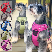 Venture Paw Pull Control Dog Harness - Solid Color