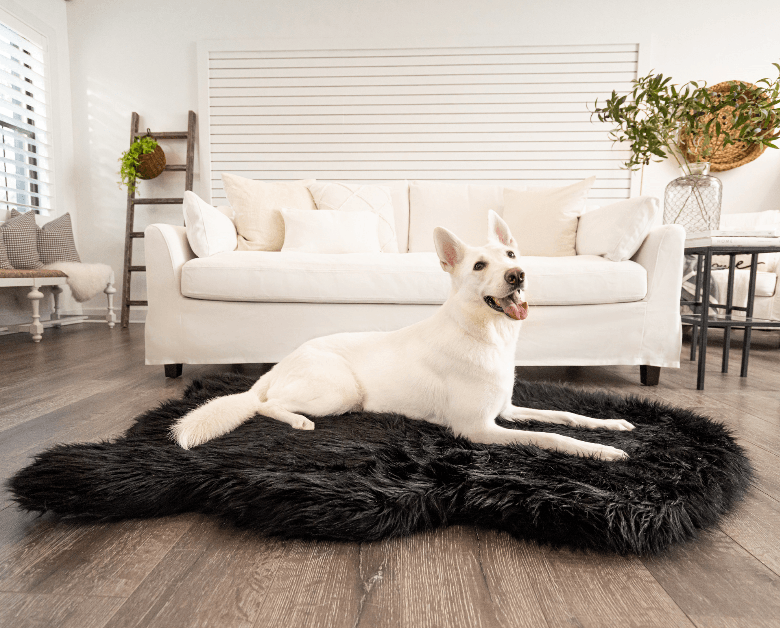 PupRug by Paw.com®  Faux Fur Orthopedic Dog Bed: Curve Midnight Black