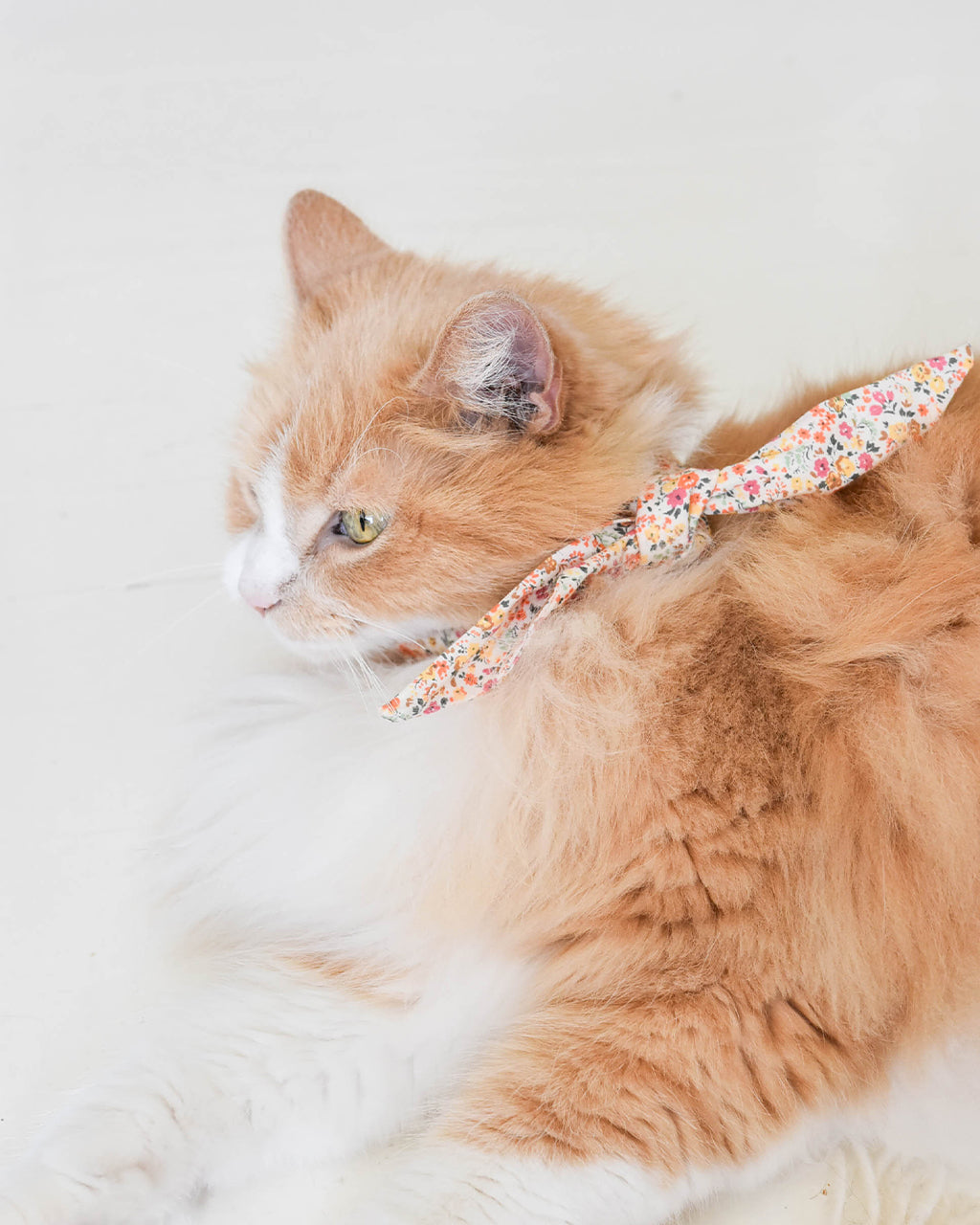 The Adventure Necktie