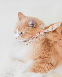 The Adventure Necktie