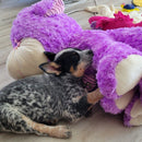 XXLarge Stuffed Dog Toys: 20"+  Squeaky and No Squeak