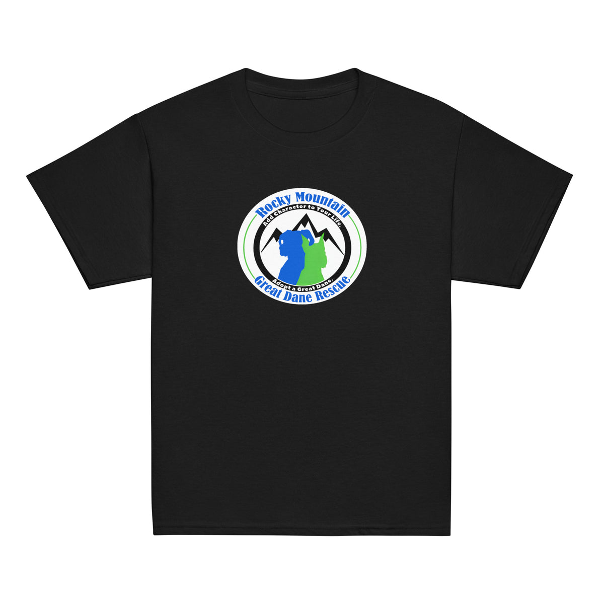 Youth Unisex Classic Tee
