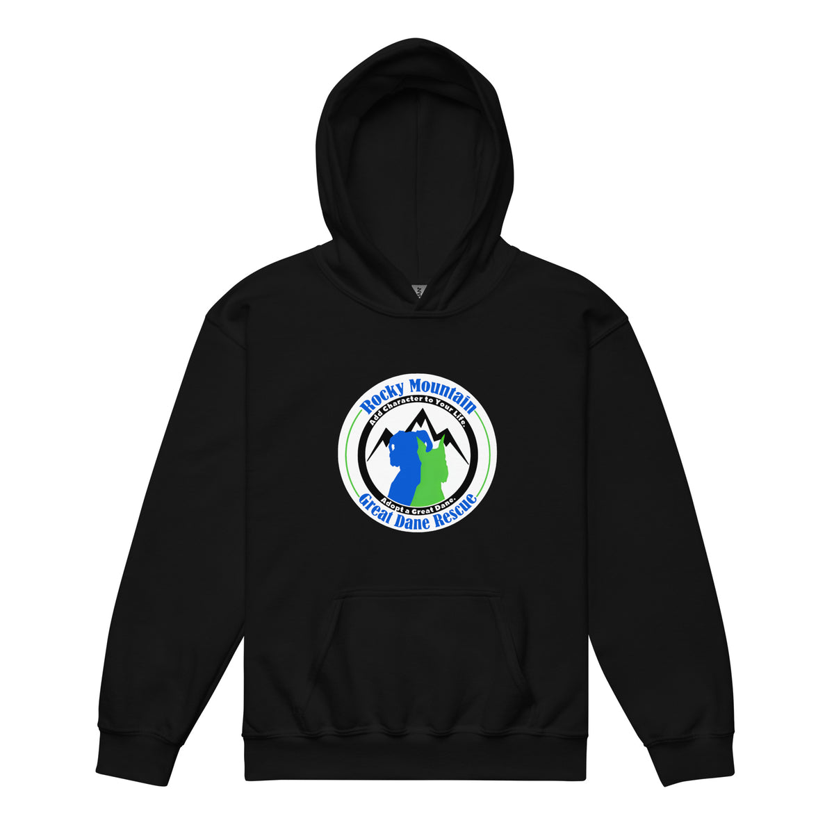 Youth Unisex Hoodie