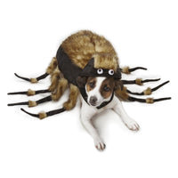 Tarantula Dog Costume - Zack & Zoey