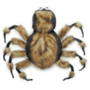 Tarantula Dog Costume - Zack & Zoey